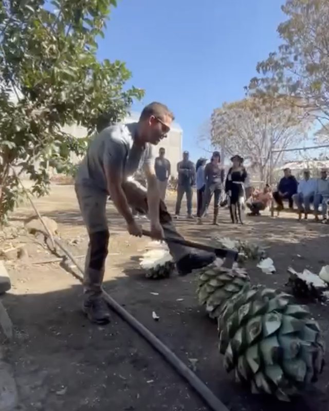 Jordan splitting an agave piña with an axe at the palenque in San Dionisio, Oaxaca