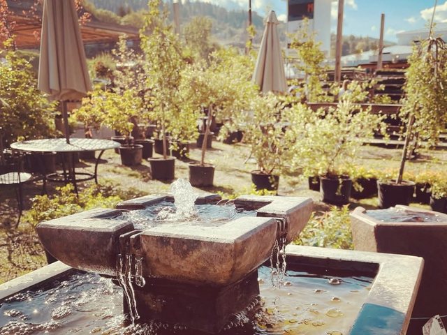 Stone fountain among potted trees in the garden centre at Swan Lake Market & Garden